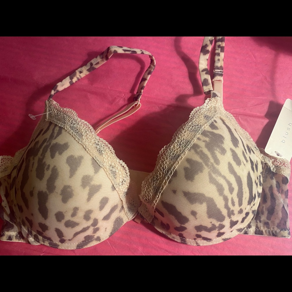 Brand New Blush push up bra size: 34C